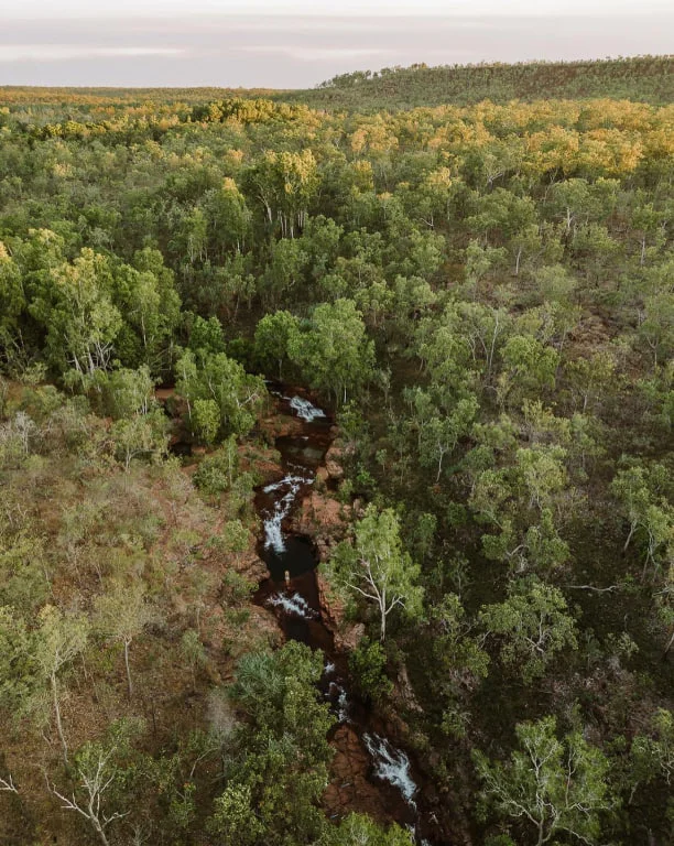 Chutkhi | Nighttime Adventures in Litchfield National Park