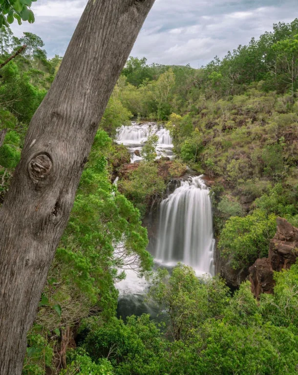 Chutkhi | Nighttime Adventures in Litchfield National Park