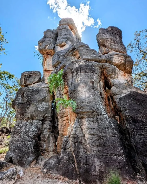 Chutkhi | Nighttime Adventures in Litchfield National Park