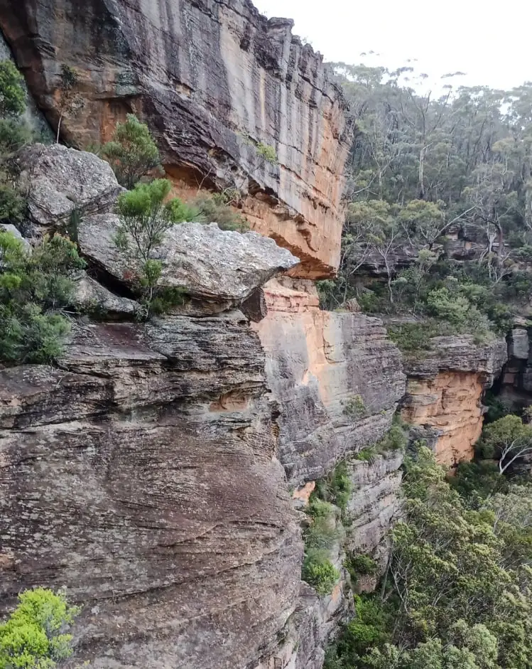 Chutkhi | Adventure Activities for Thrill-Seekers in the Blue Mountains