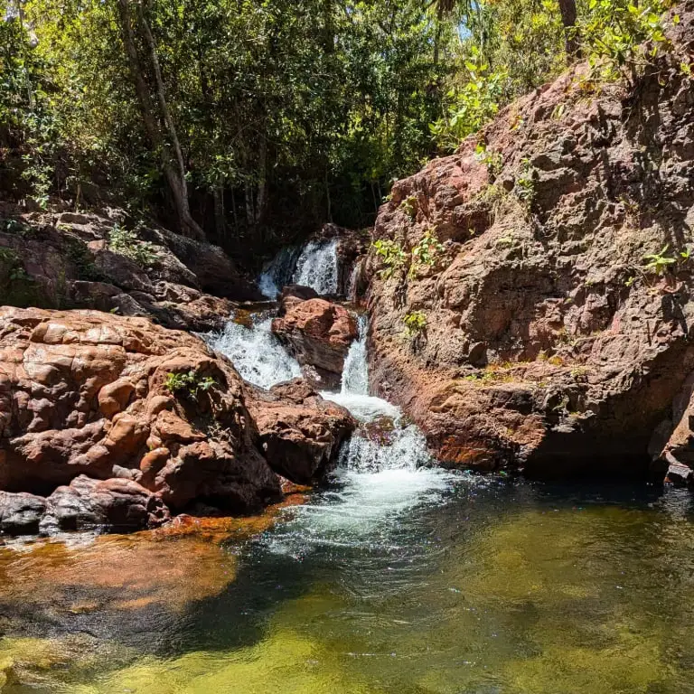 Chutkhi | Nighttime Adventures in Litchfield National Park