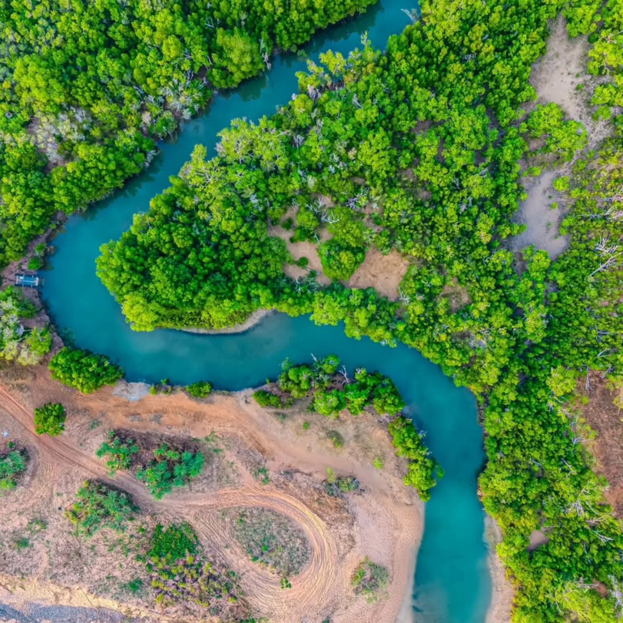 aerial view of river and mangroves