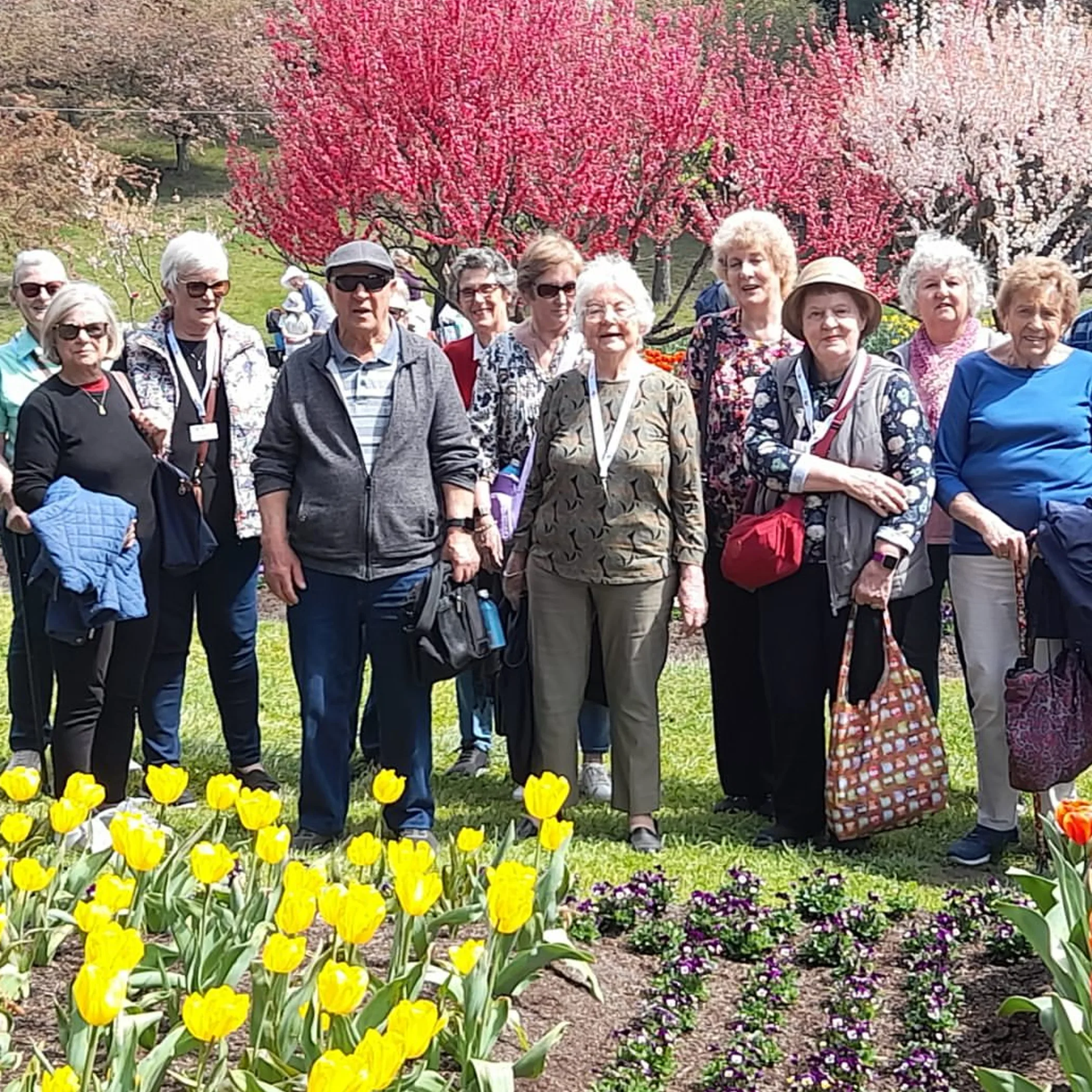 group enjoying spring flowers in garden